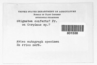 Image Associated With the Occurrence